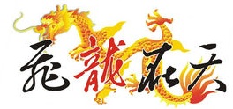 飞龙在天